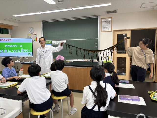 わかめの全長約２ｍ！！