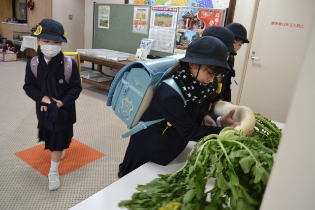 初めての手触り