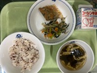 給食