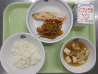 給食