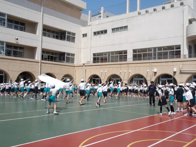 写真