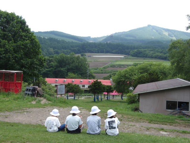 昼食