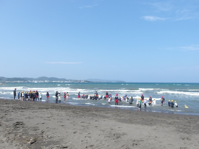 海岸の様子