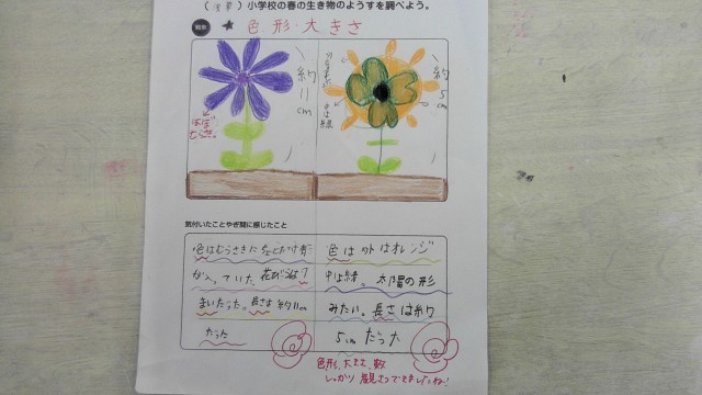 見つけた春の生き物