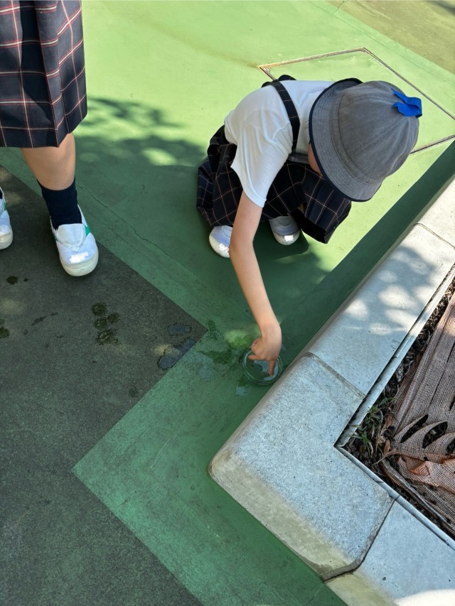 水を入れたシャーレの水の深さで地面の傾きを確認しています。