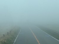 霧がすごくてリフトは中止としました。