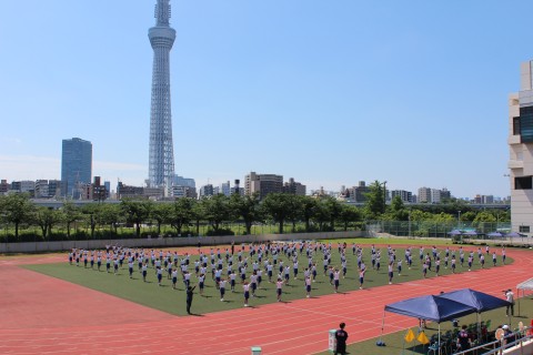 IMG_4369.JPG