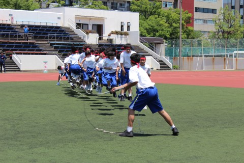 IMG_4432.JPG