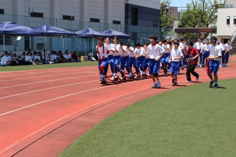 IMG_4462.JPG