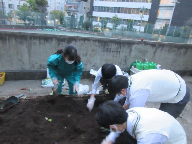 ボランティア部.JPG